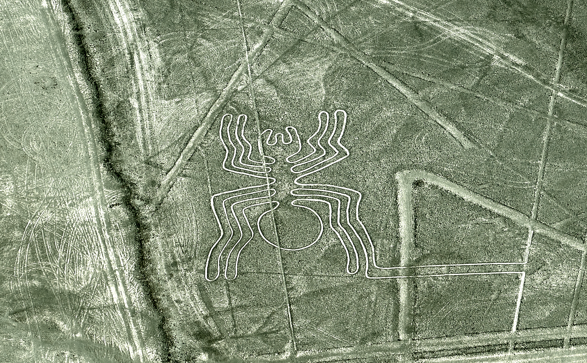 20200305 341 [페루] 나스카 라인